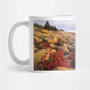 Atlantic Coast Near Thunder Hole Acadia National Park Mug